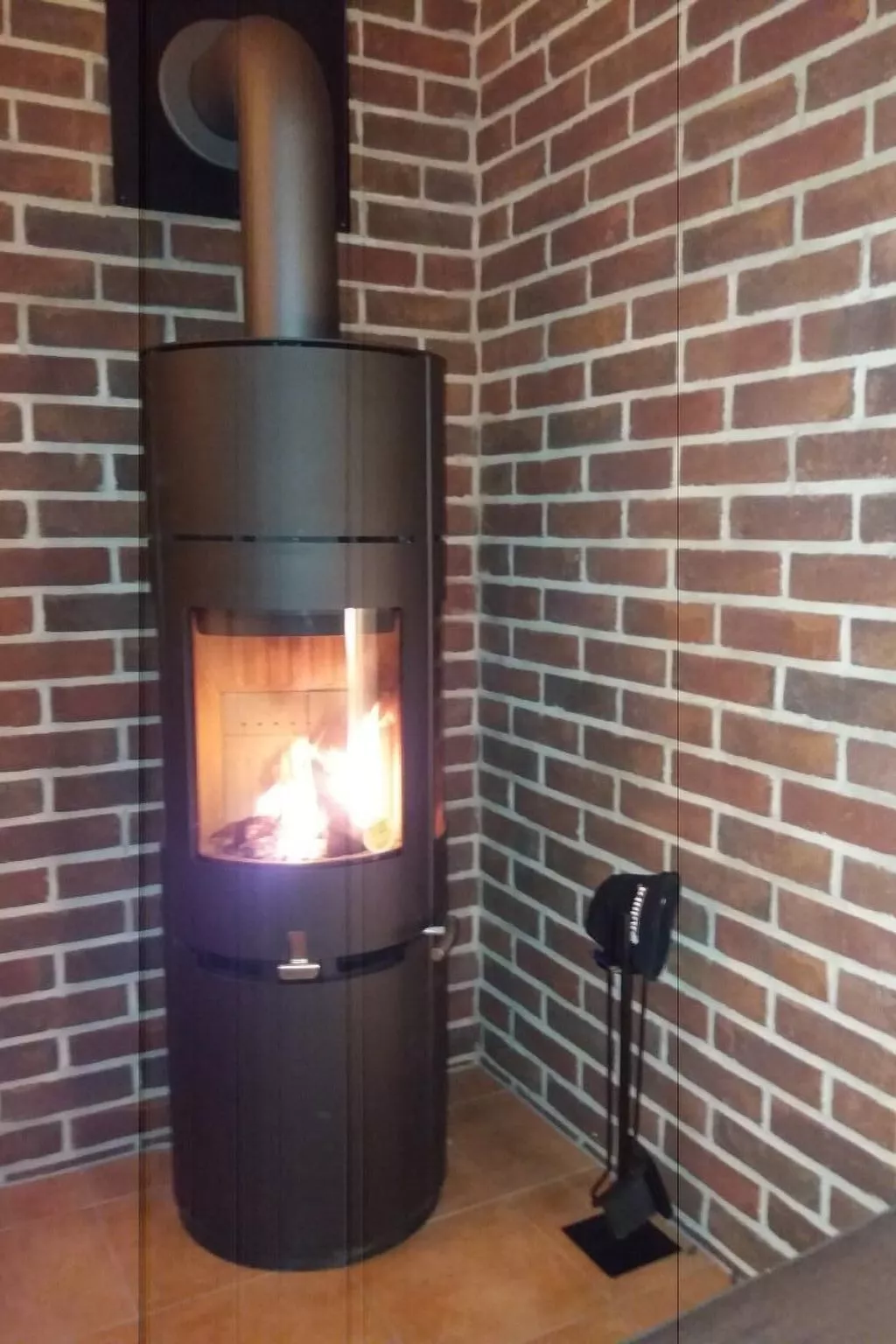 Pinto Rosso-Image-tags.info