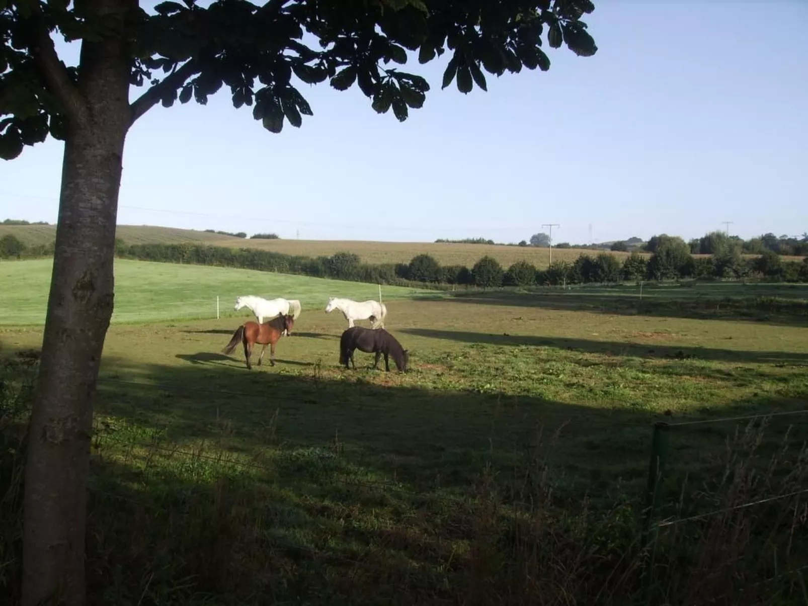 Hof Rodenkrog Fewo 2-Buiten
