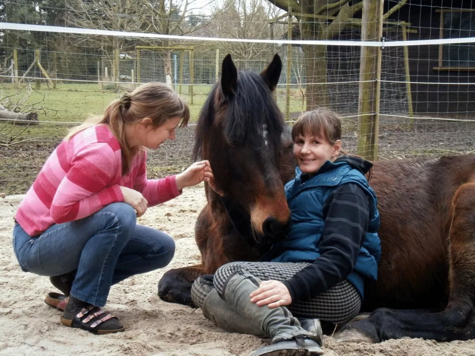 Borkum-Image-tags.info