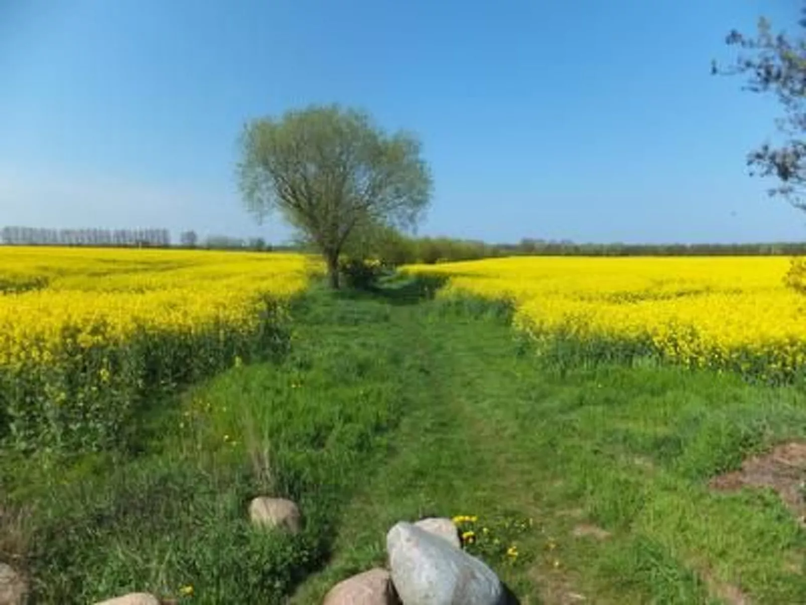 Ferienwohnung-Binnen