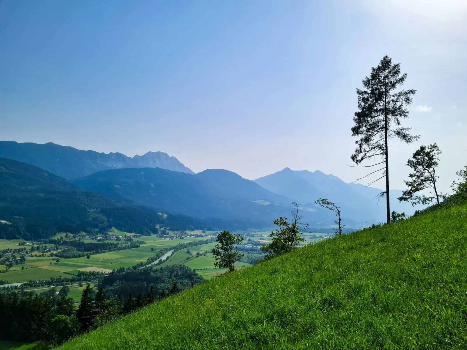 Waldblick in Steinfeld-Binnen