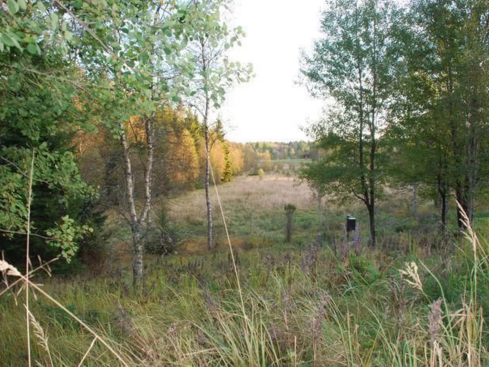 Idyllisch gelegenes, ebenerdiges Haus mit Terrasse-Binnen