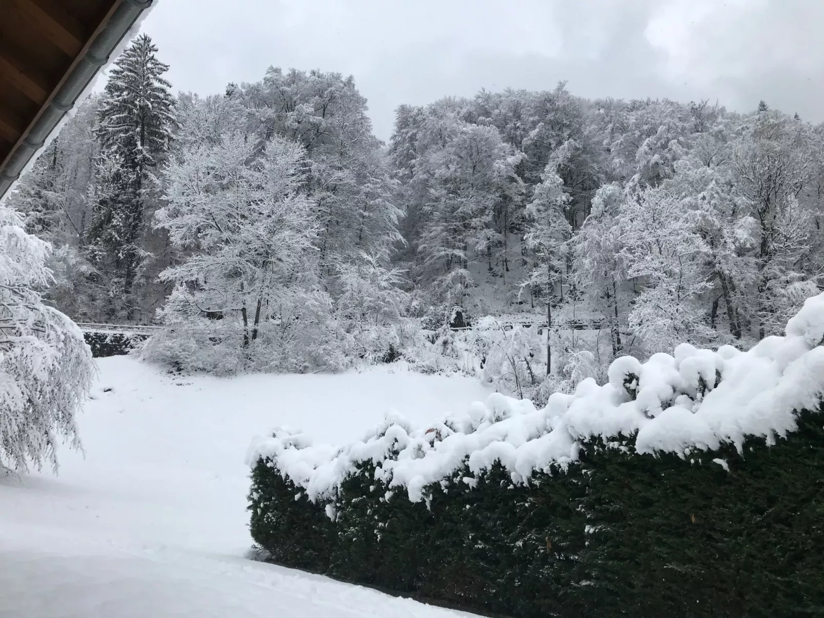 Chalet Tripfi-Buiten