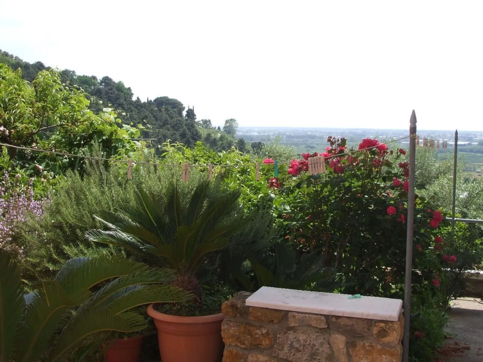 In panoramischer Lage-Buiten