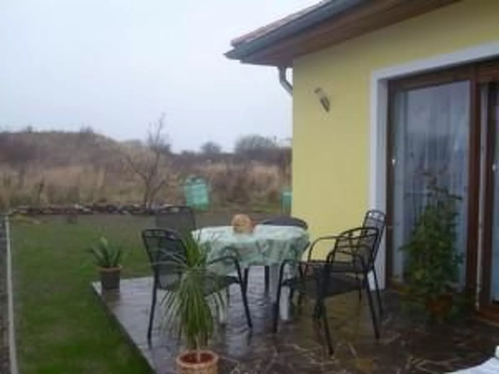 Moderne Erdgeschosswohnung mit Blick auf Hiddensee-Binnen