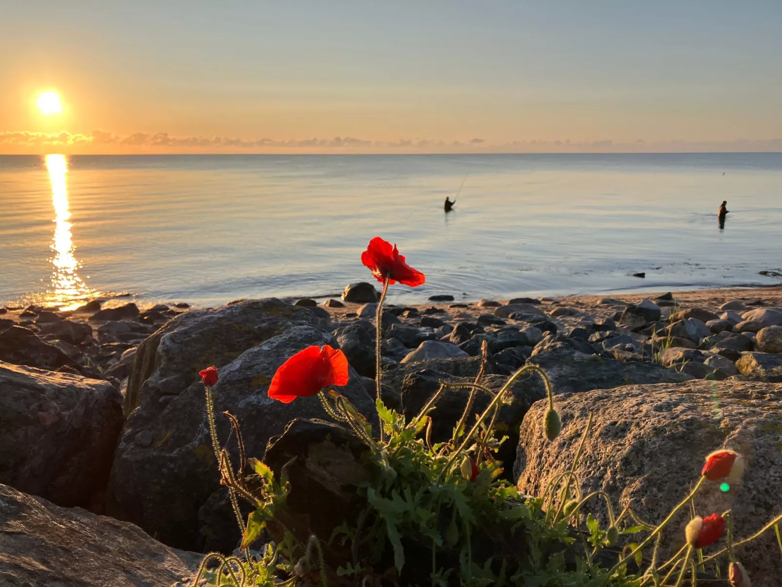 Wohnung Haus mit Herz in Brodersby-Schönhagen-Buiten