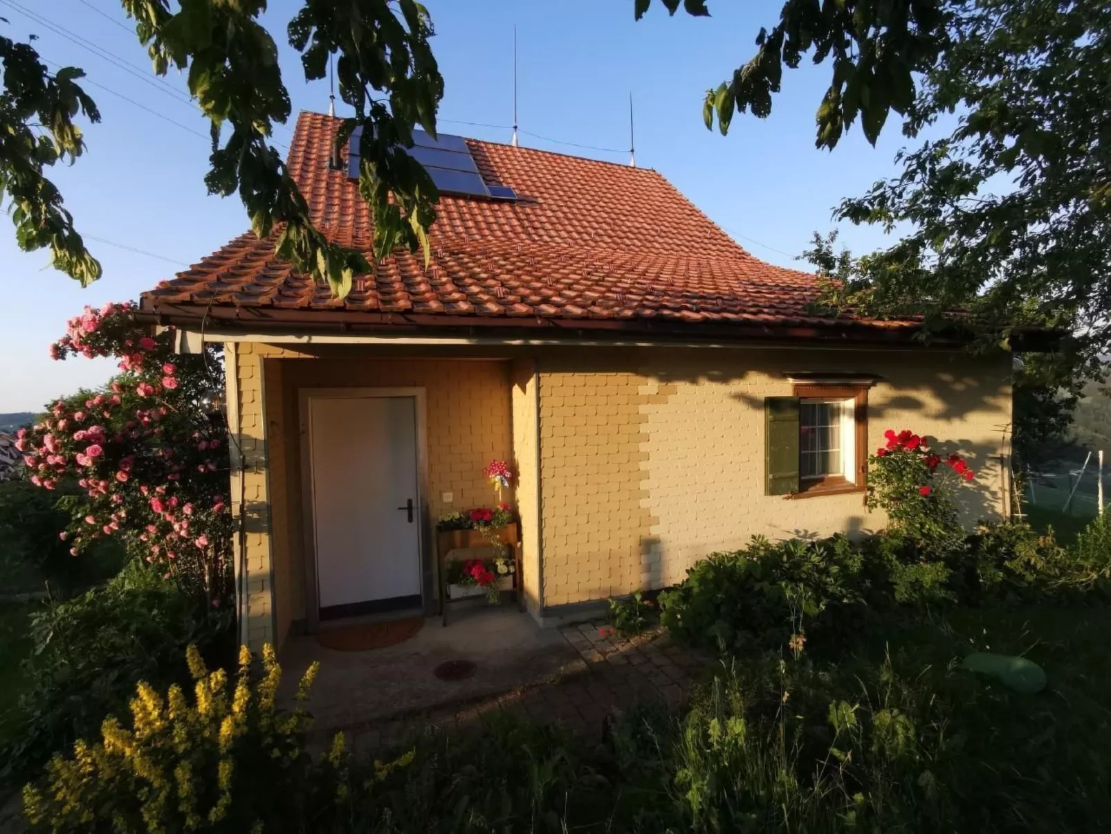 Tiererlebnishof Windegg-Buiten