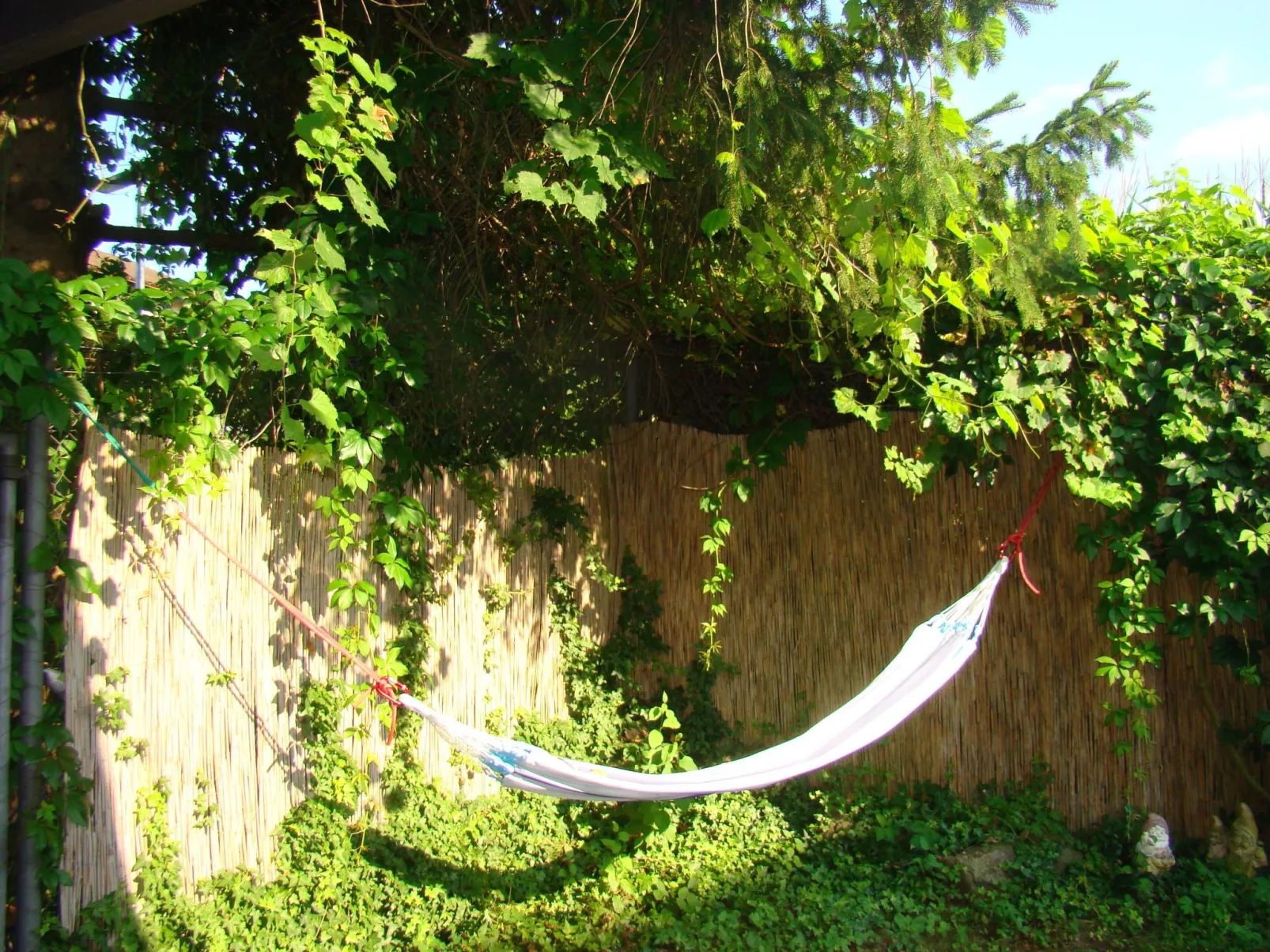 Wohlfühloase-Binnen