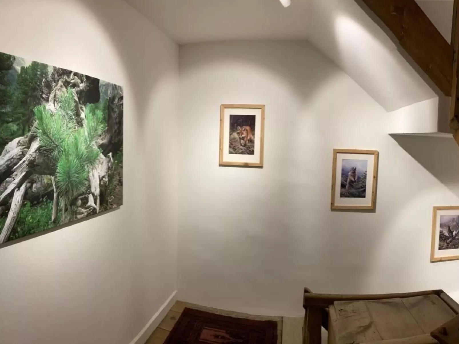 Chesa Robbi S-chanf-Image-tags.info