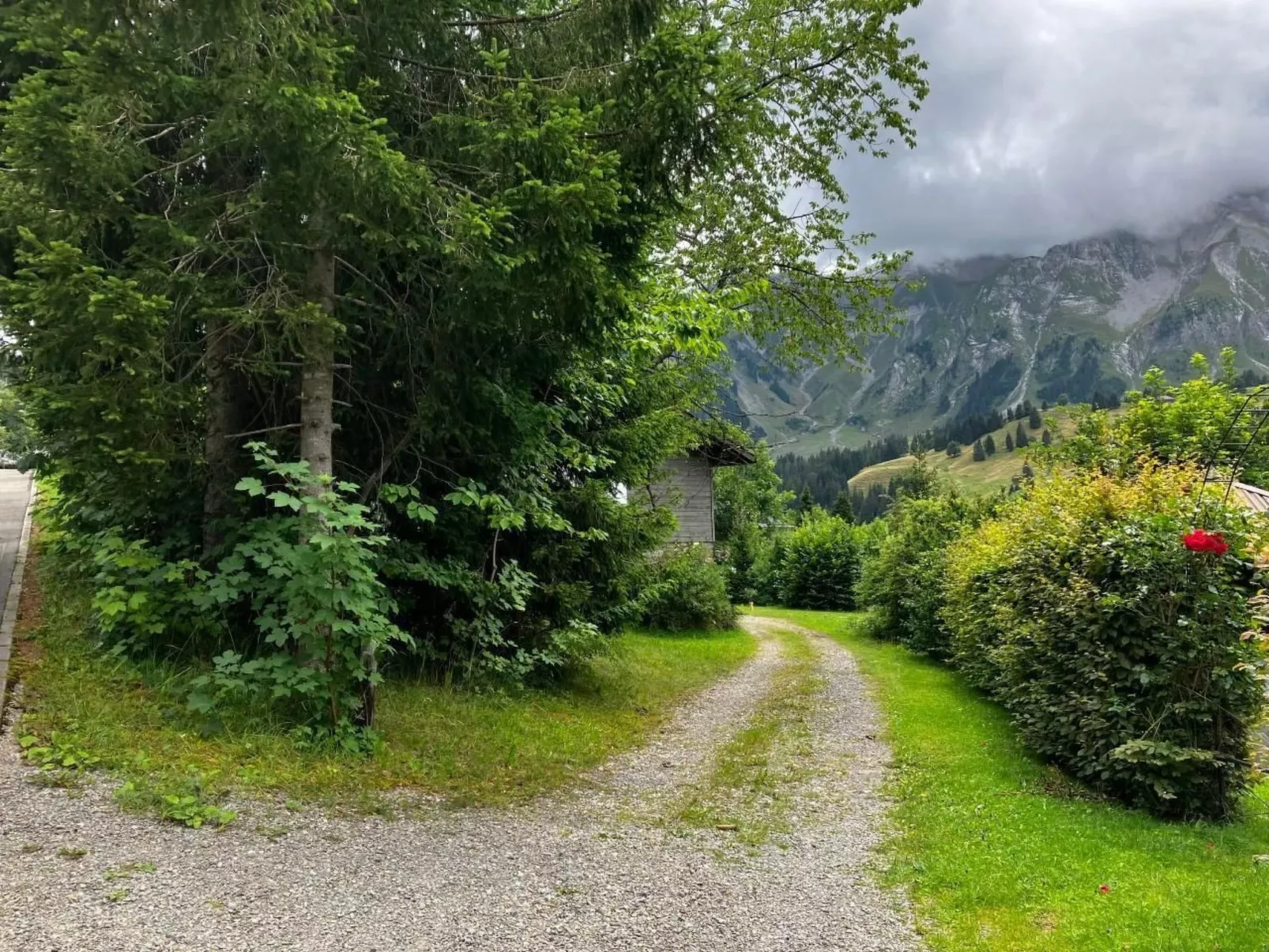 Semiramis-Image-tags.info