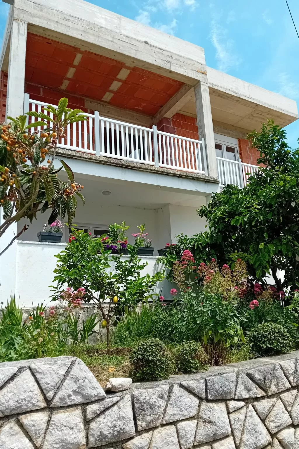 Delfa Pećarina-Binnen