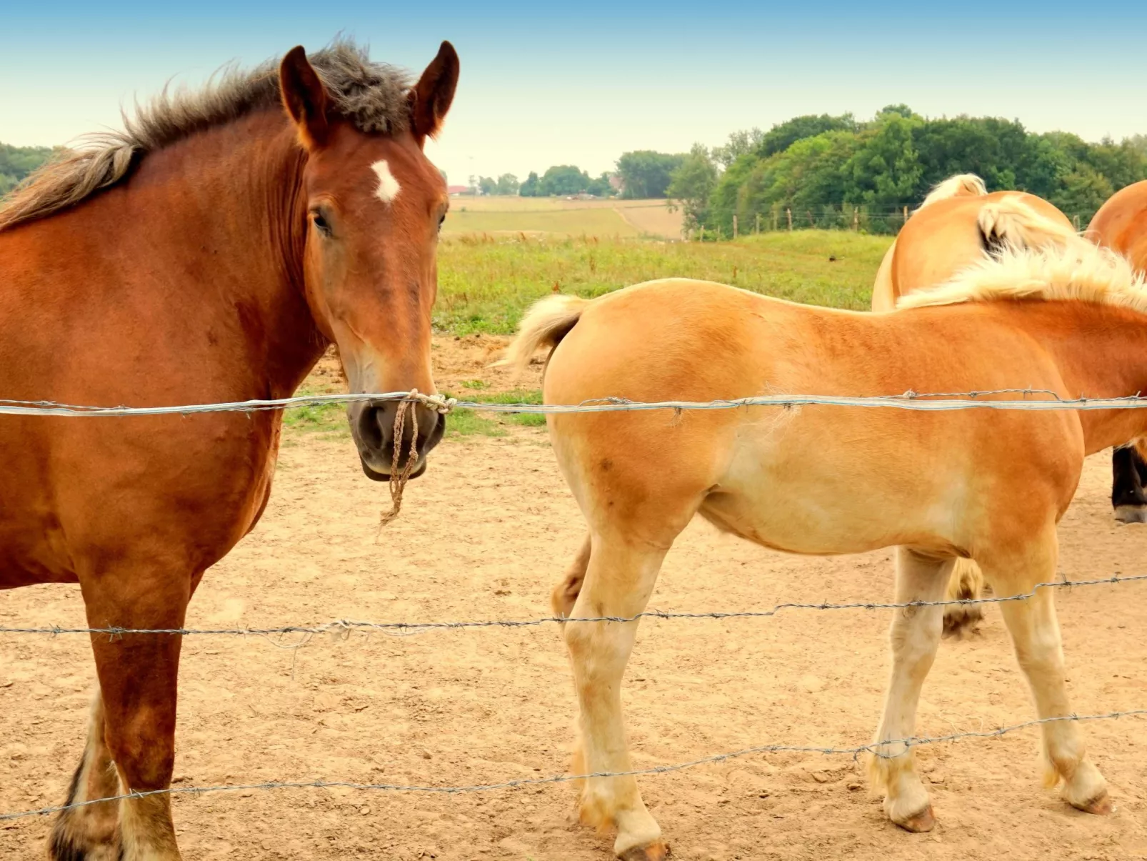 "Verano" mit Privatparkplatz-Buiten