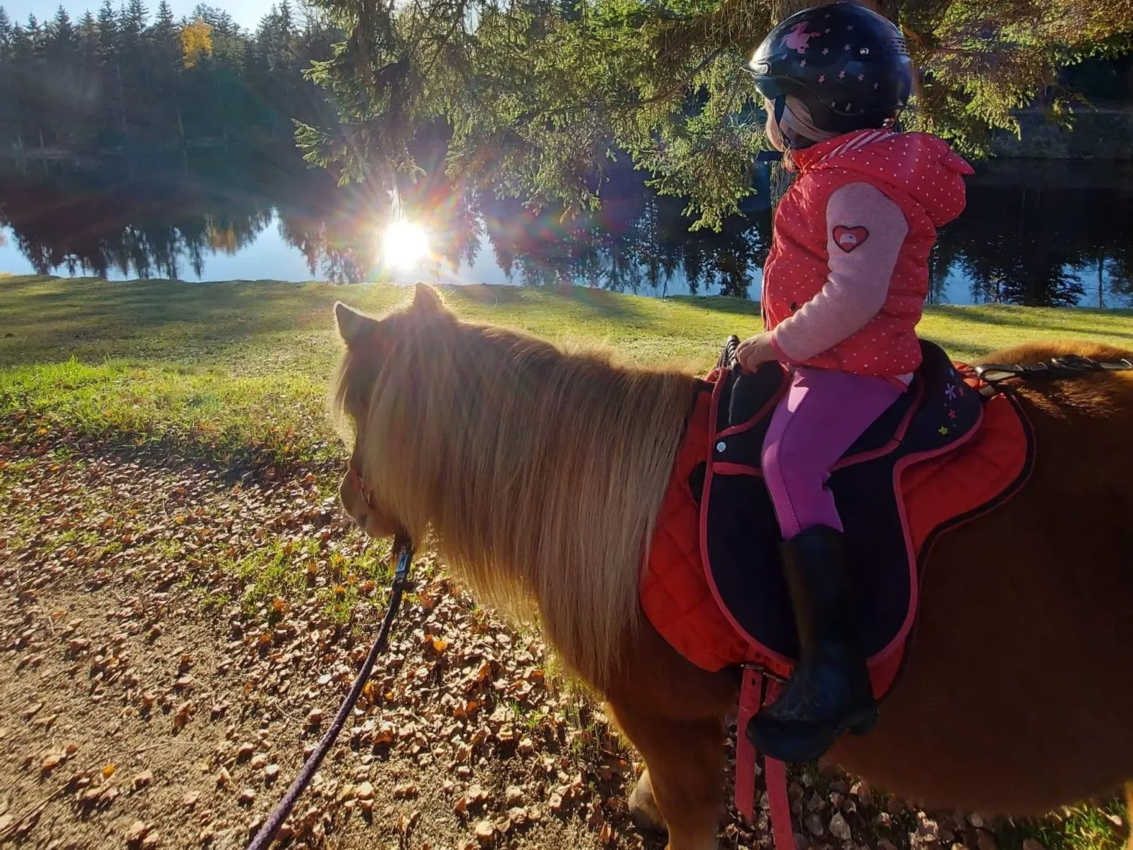 Landhaus mit Sonnenterrasse und Garten-Buiten