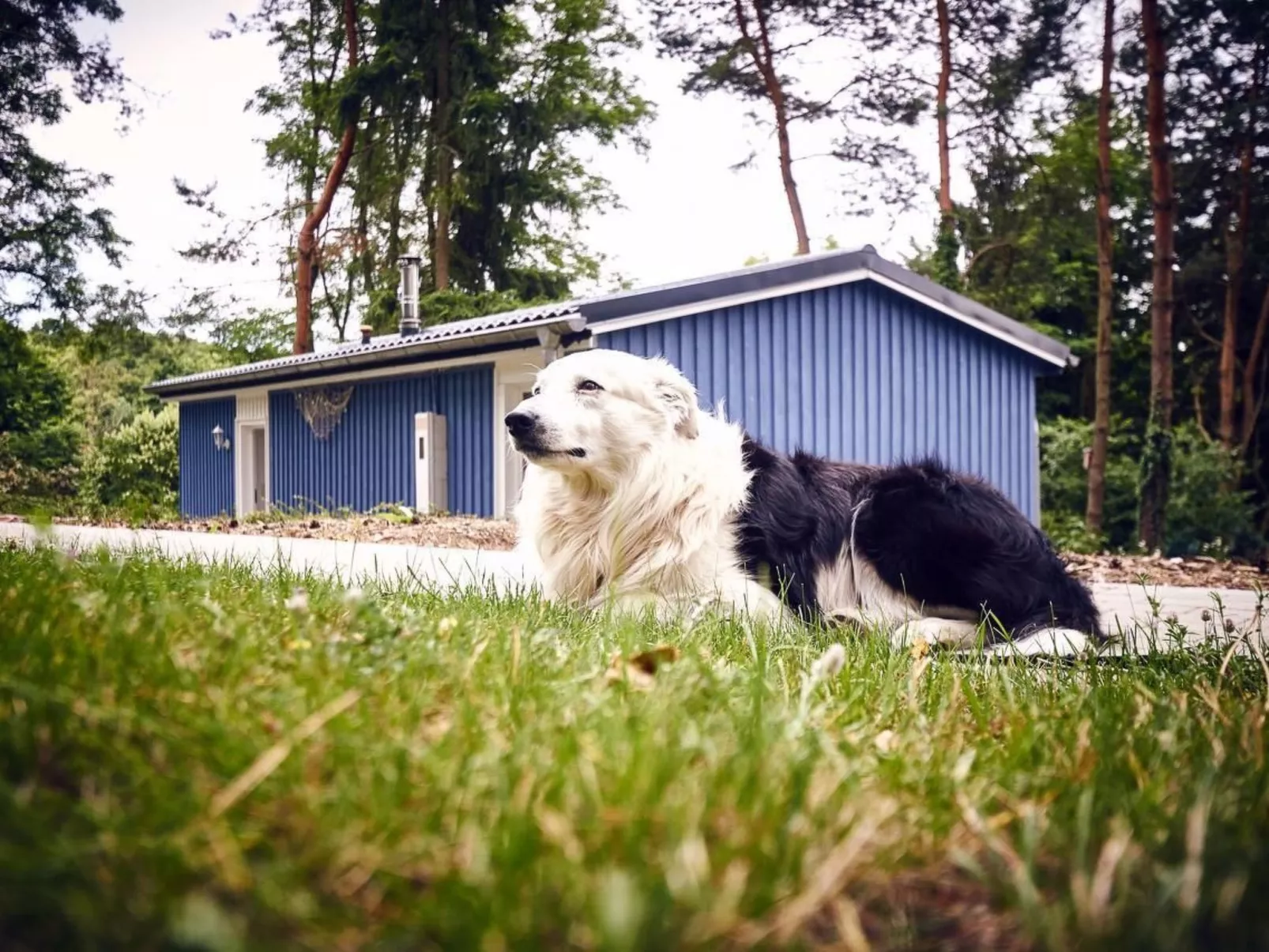 Waldhäuser-Image-tags.info