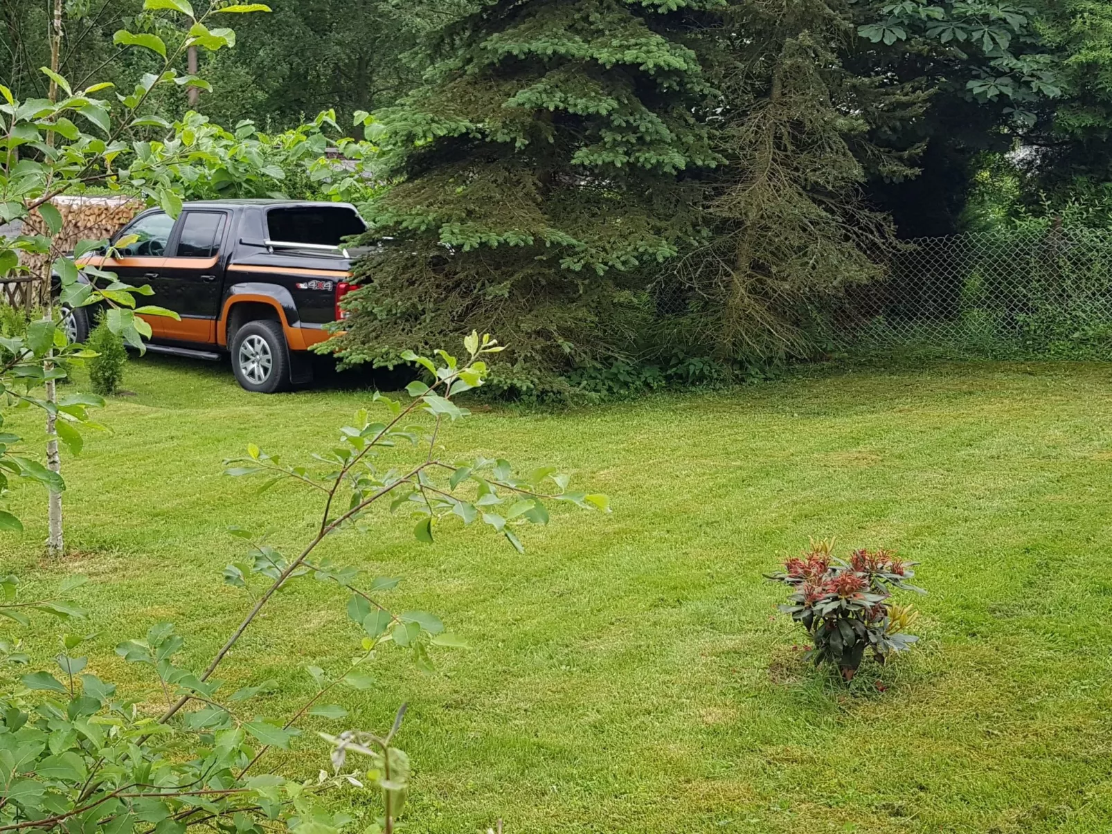 Verena-Image-tags.info