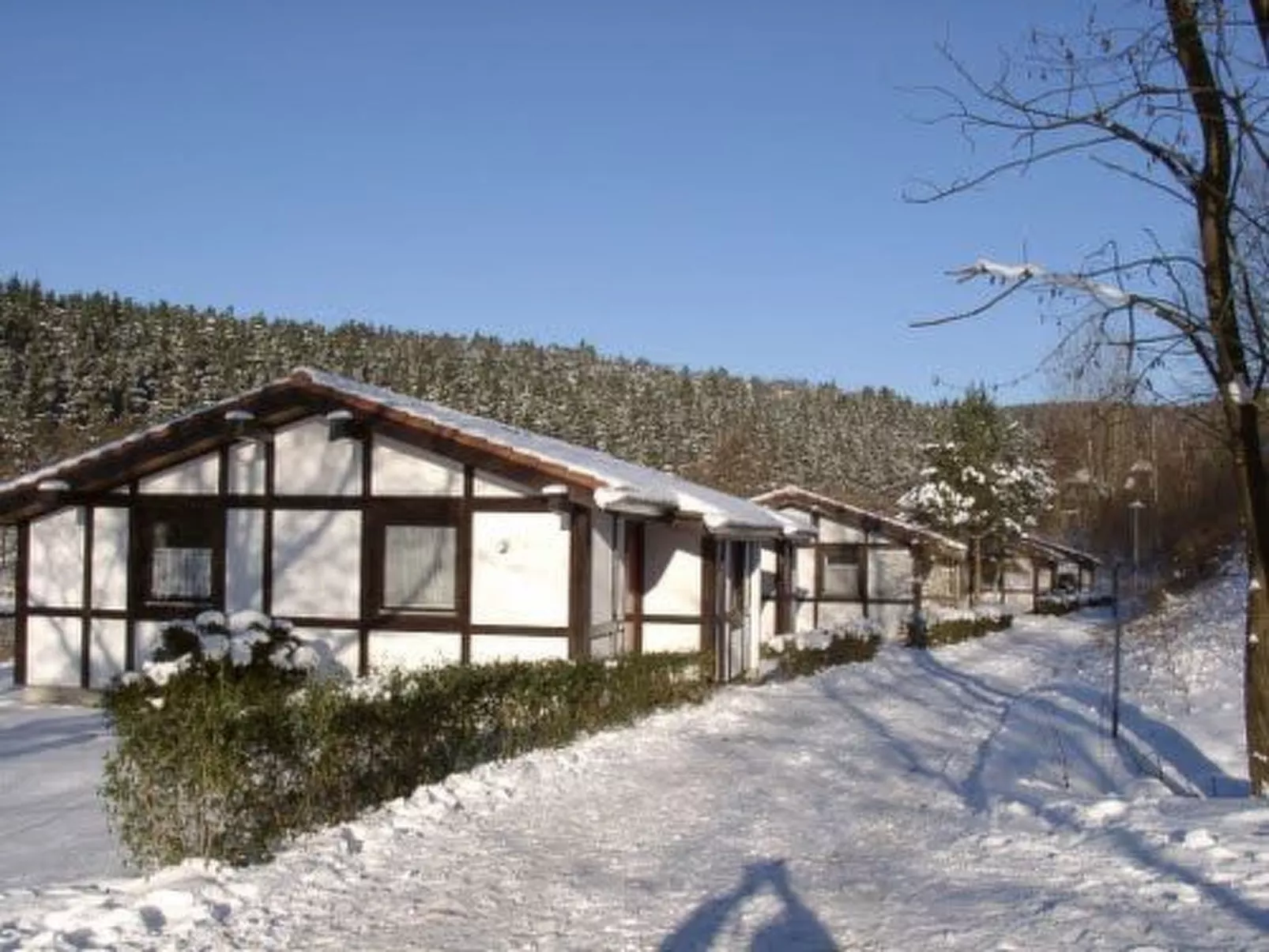 Robinson-Image-tags.info