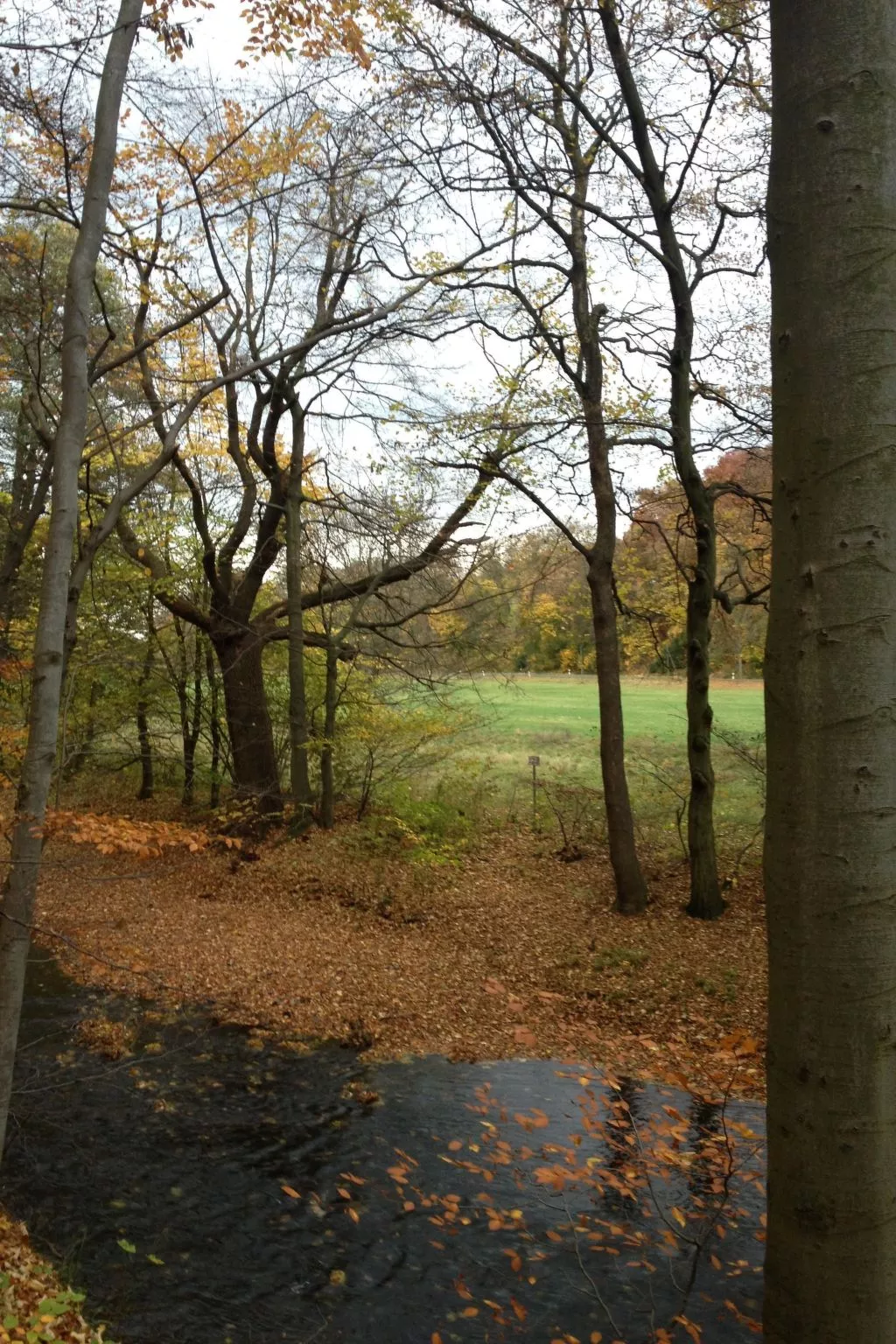 Gemütliche Ferienwohnung für die ganze Familie-Buiten