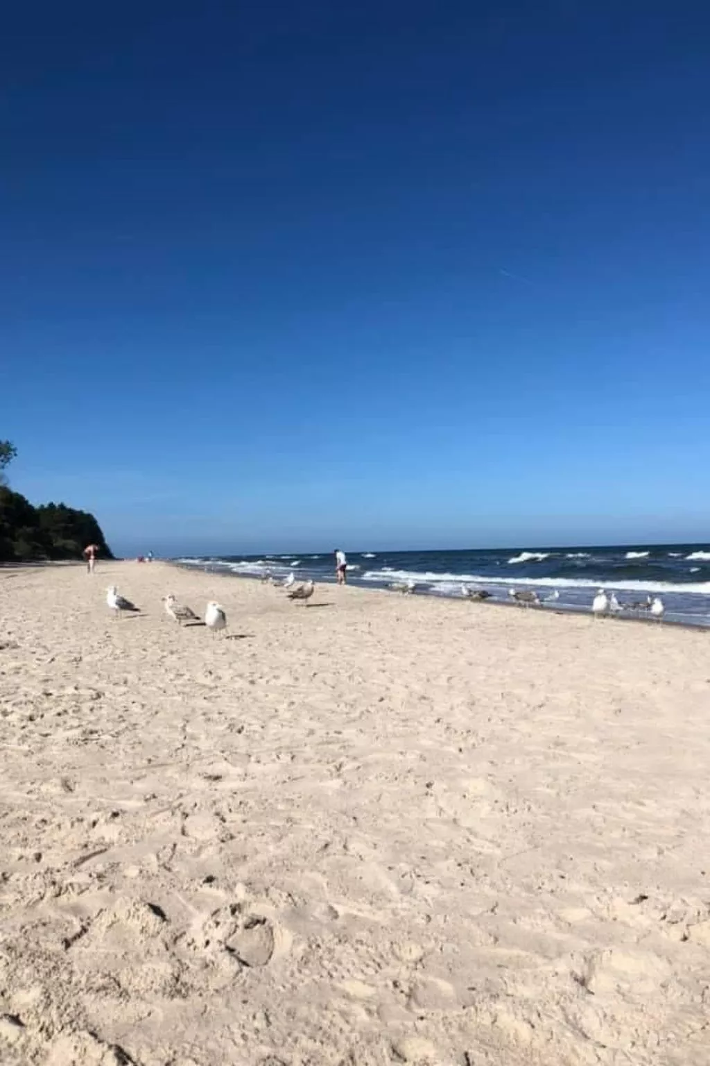 Schönes Ferienhaus für 7 Personen und 1 Kind-Binnen