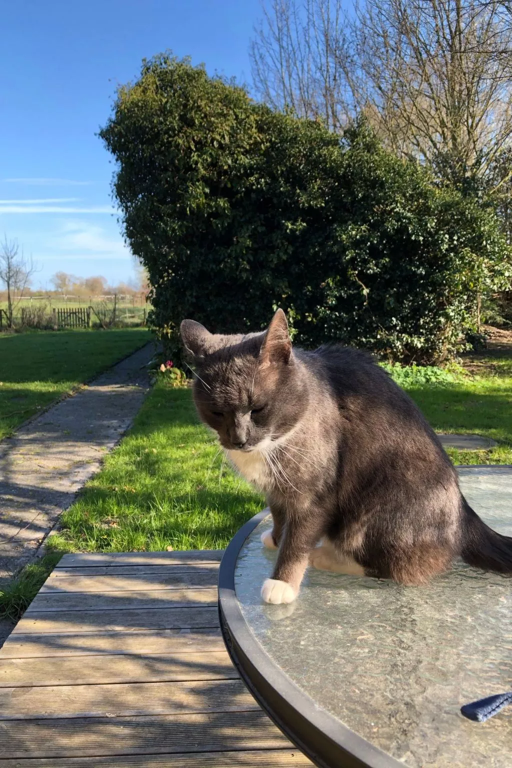 Haus am Reithmoor-Buiten