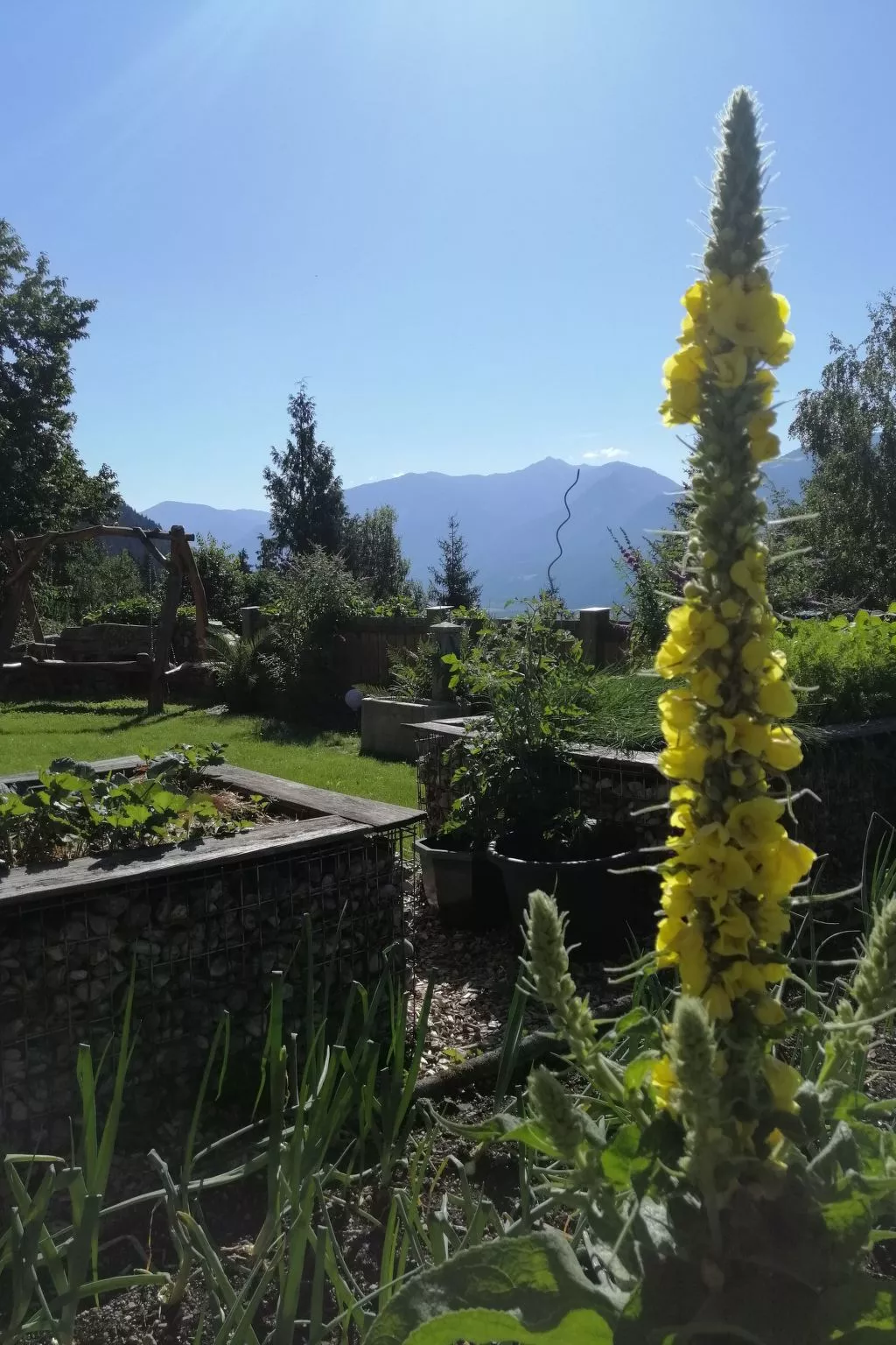 Reißkofel in Steinfeld-Binnen