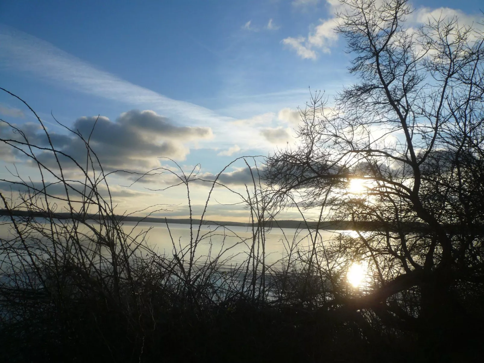 Charmante Wohnung in Dassow mit Terrasse und Gri - Buiten