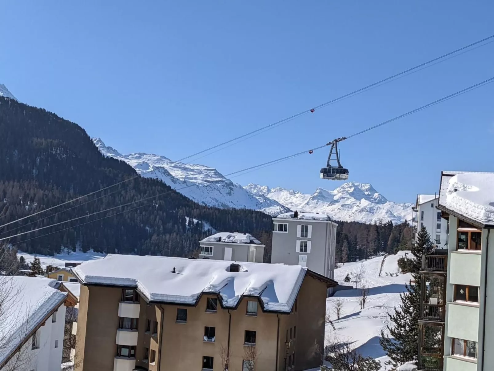 Chavallera 25-Image-tags.info