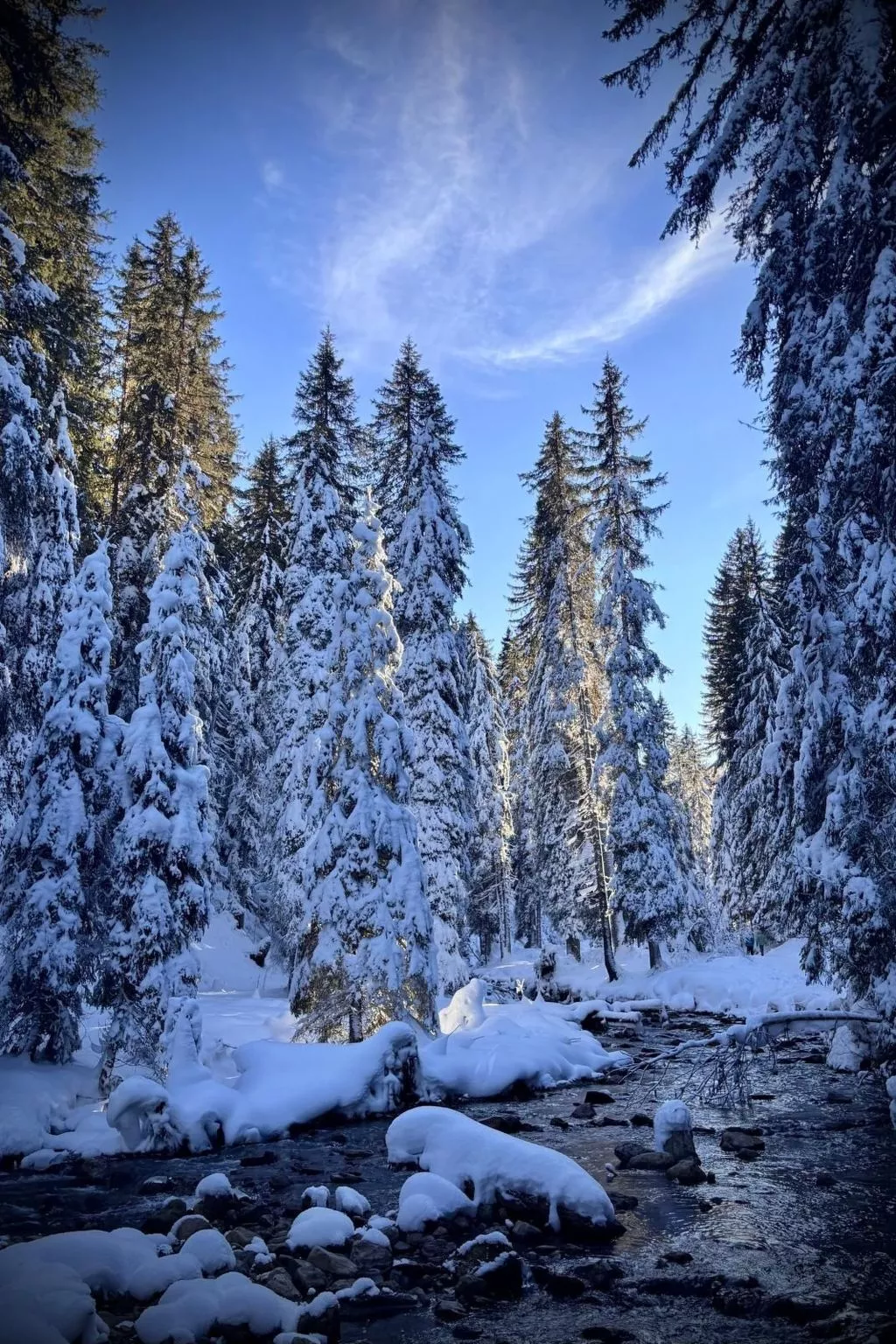 Morgins 6P, Ski-in Ski-out, Parkplatz, zentral, WiFI-Binnen