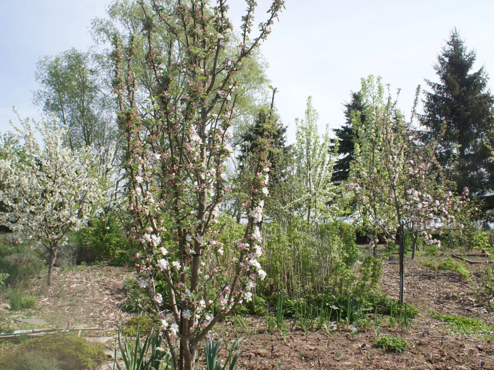 Meer, Landschaft, Stille - Ferienhäuser in den Gärten von Magra-Buiten