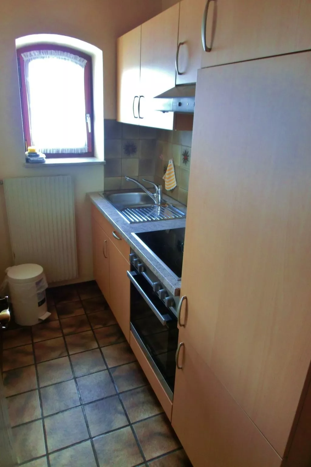 Panoramabergblickwohnung in ruhiger Einzellage-Binnen