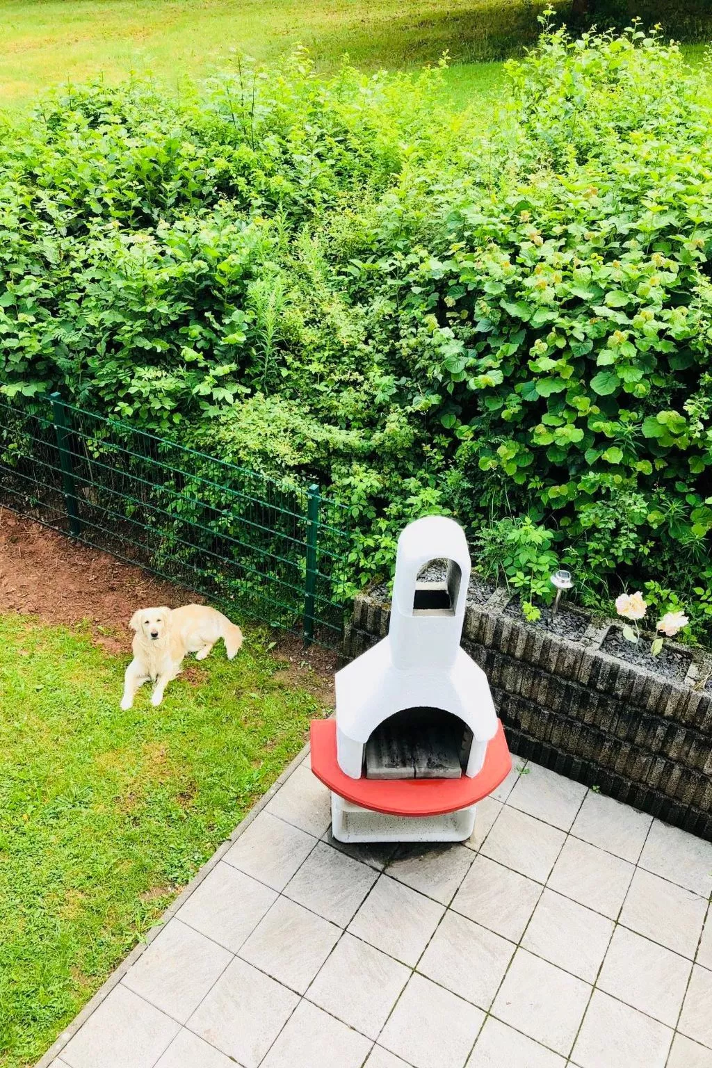 Charly in Kirchheim Seepark-Binnen
