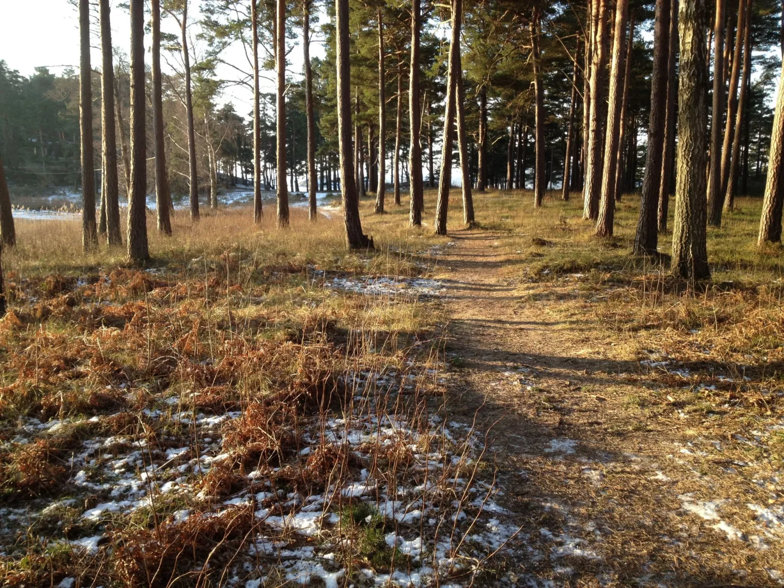 Westküsten-Juwel-Binnen