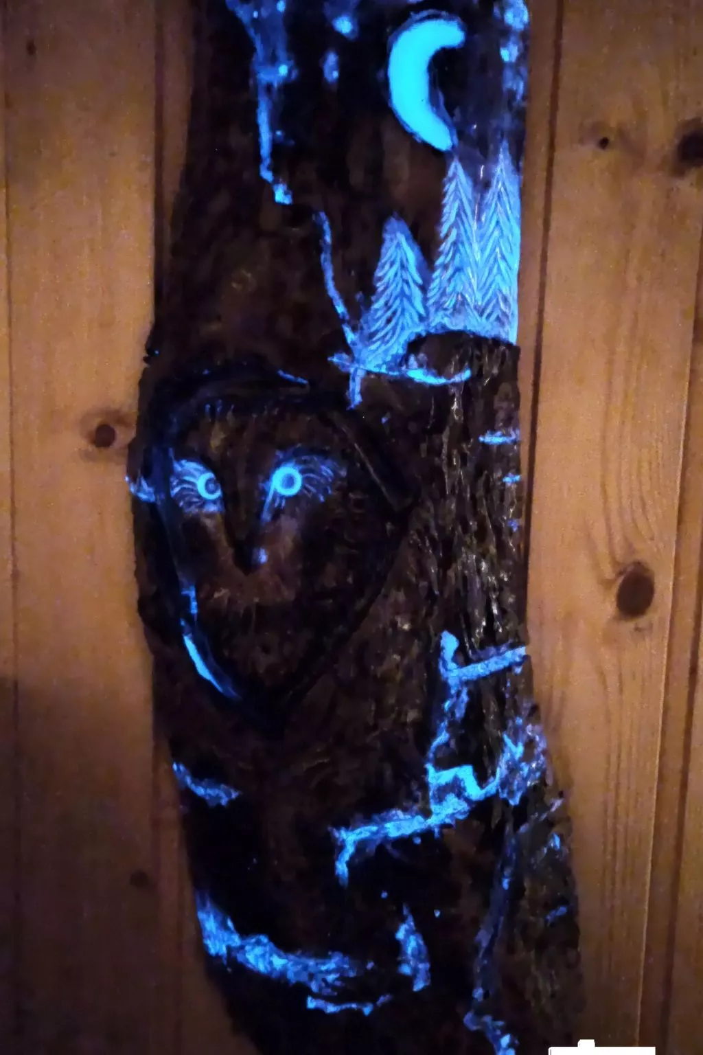 Authentisches Fachwerkhaus am Rande des Waldes-Buiten