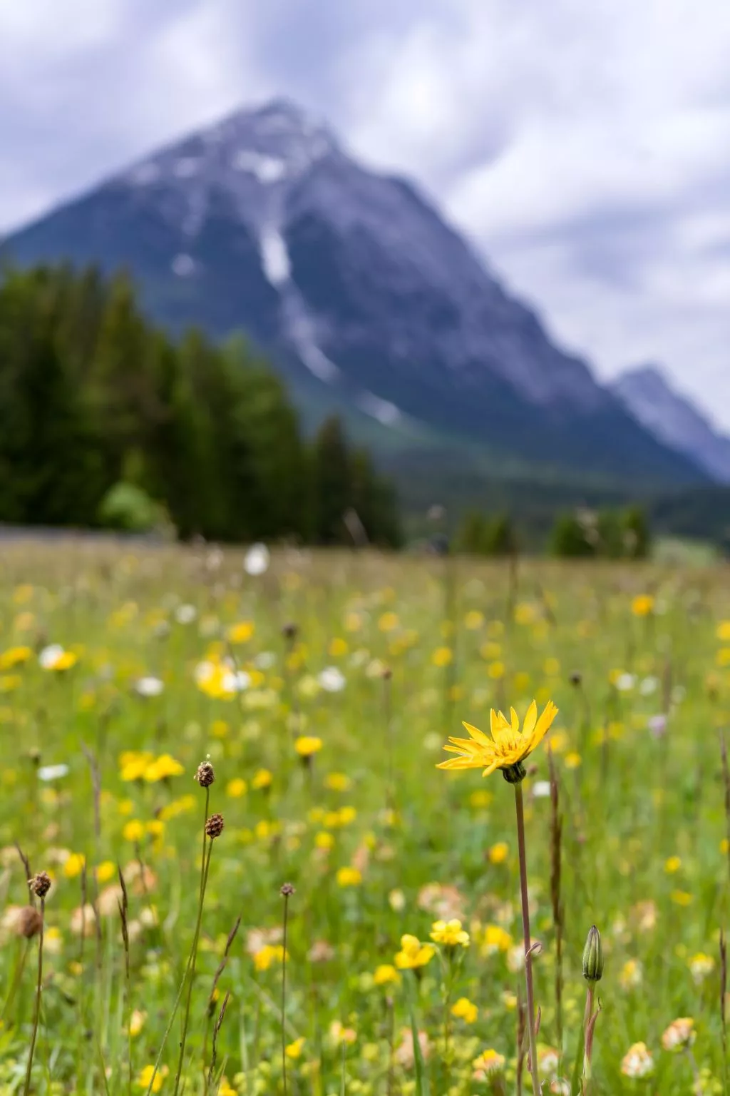 Appartement "Glücksmomente"-Buiten