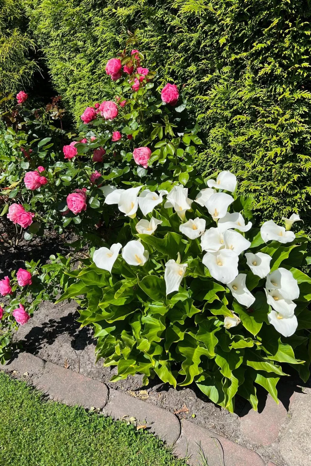 Strandnah Ilse Hans-Image-tags.info