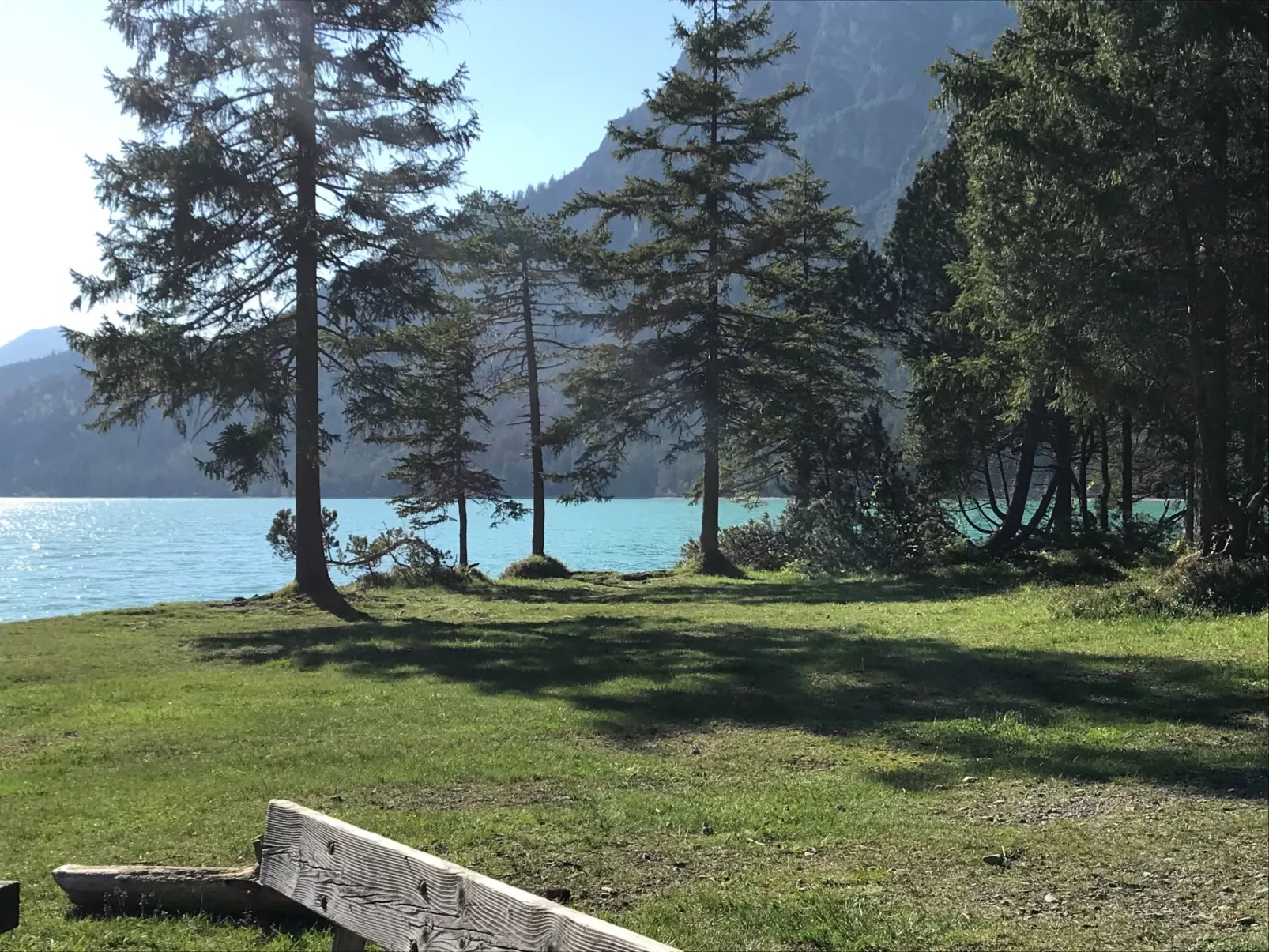 Pony-Ziegen-Hasen-Ranch in Bichlbach-Binnen