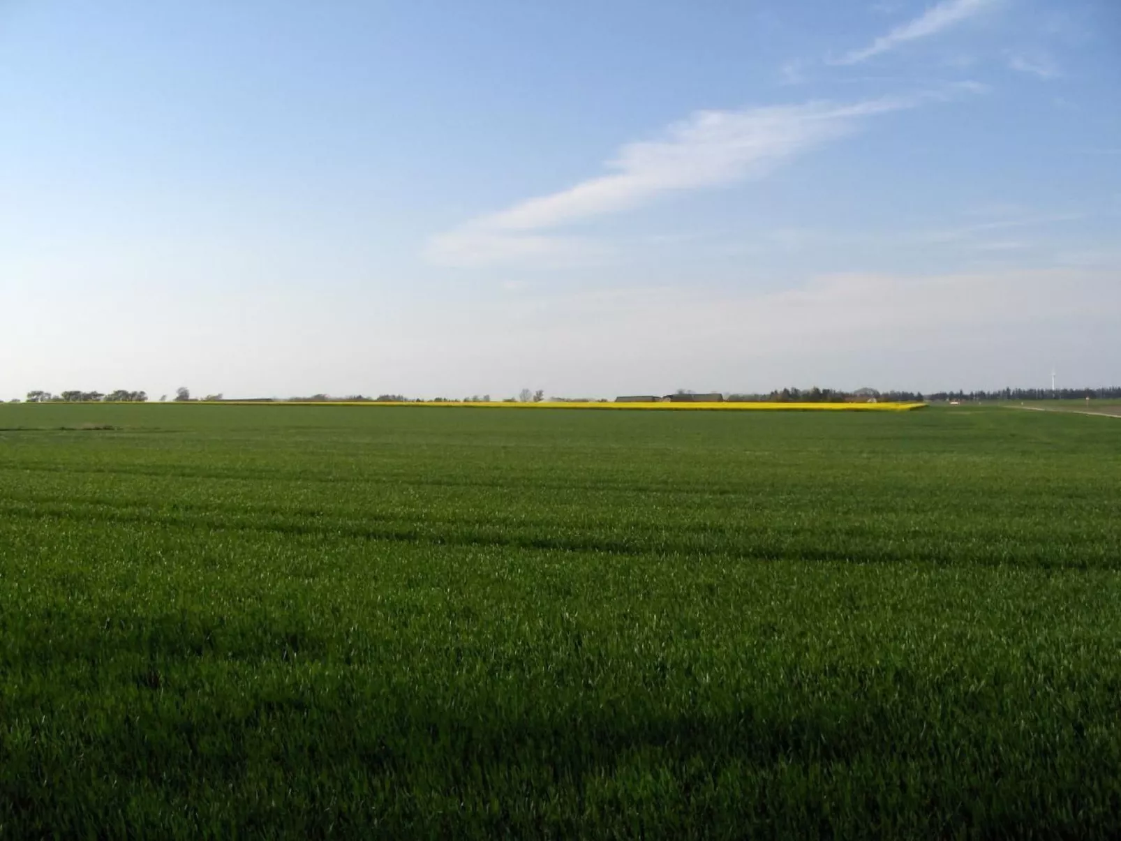 Fewo Skjærnsøde-Buiten