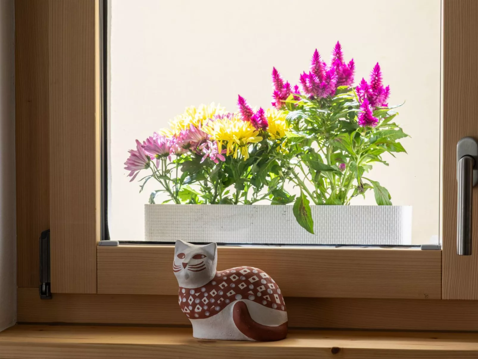 Chasa Semadeni-Image-tags.info