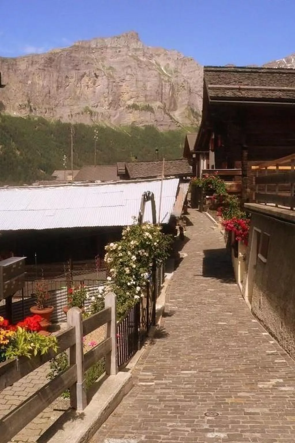 Chalet Angelika-Binnen