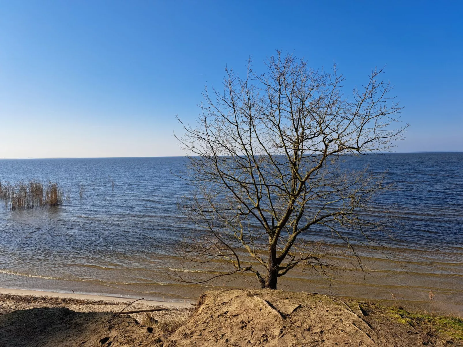 Mit Terrasse mitten im Grünen-Image-tags.info