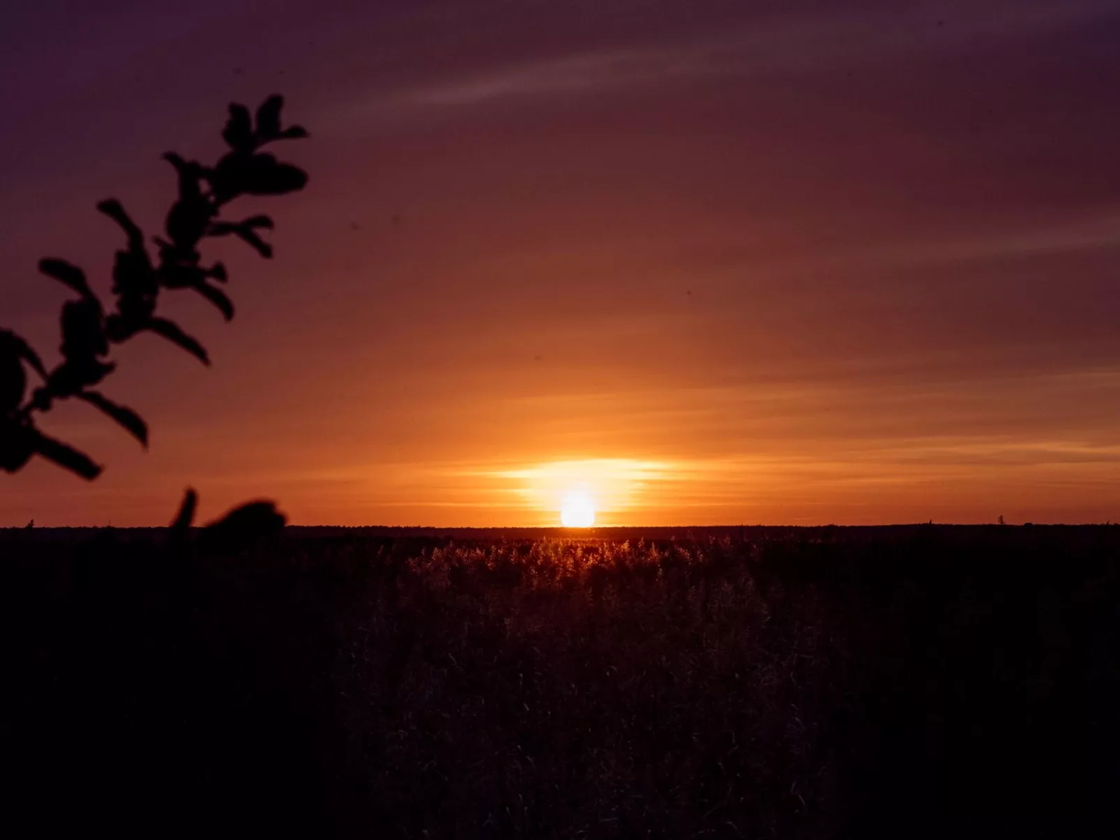 Admiral's Corner Luv-Buiten