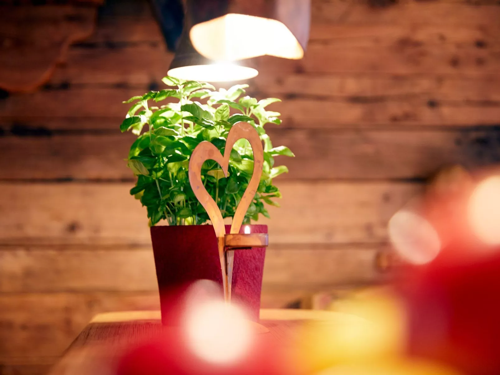 Im Almdorf in Flachau-Buiten