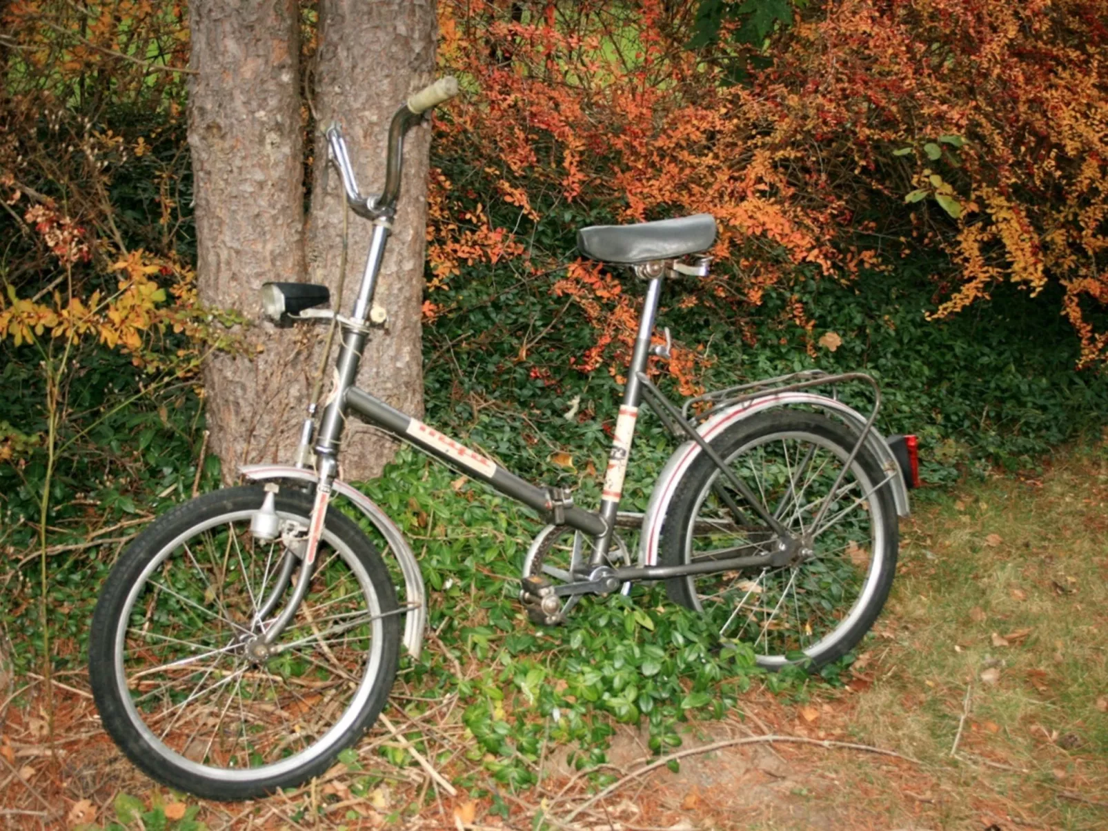 Familienfreundliches Ferienhaus mit großem Garten-Buiten