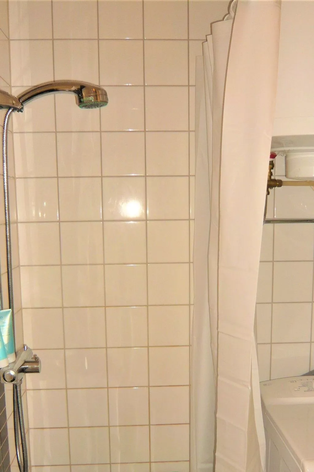 Schönes Ferienhaus mit Garten, Terrasse und Grill-Binnen