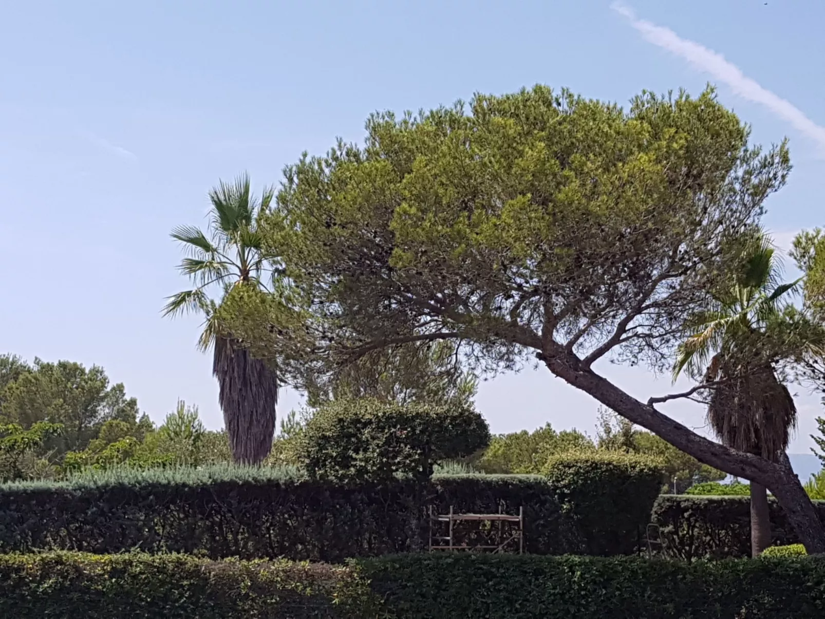 Die Sonne der Côte d'Azur-Binnen