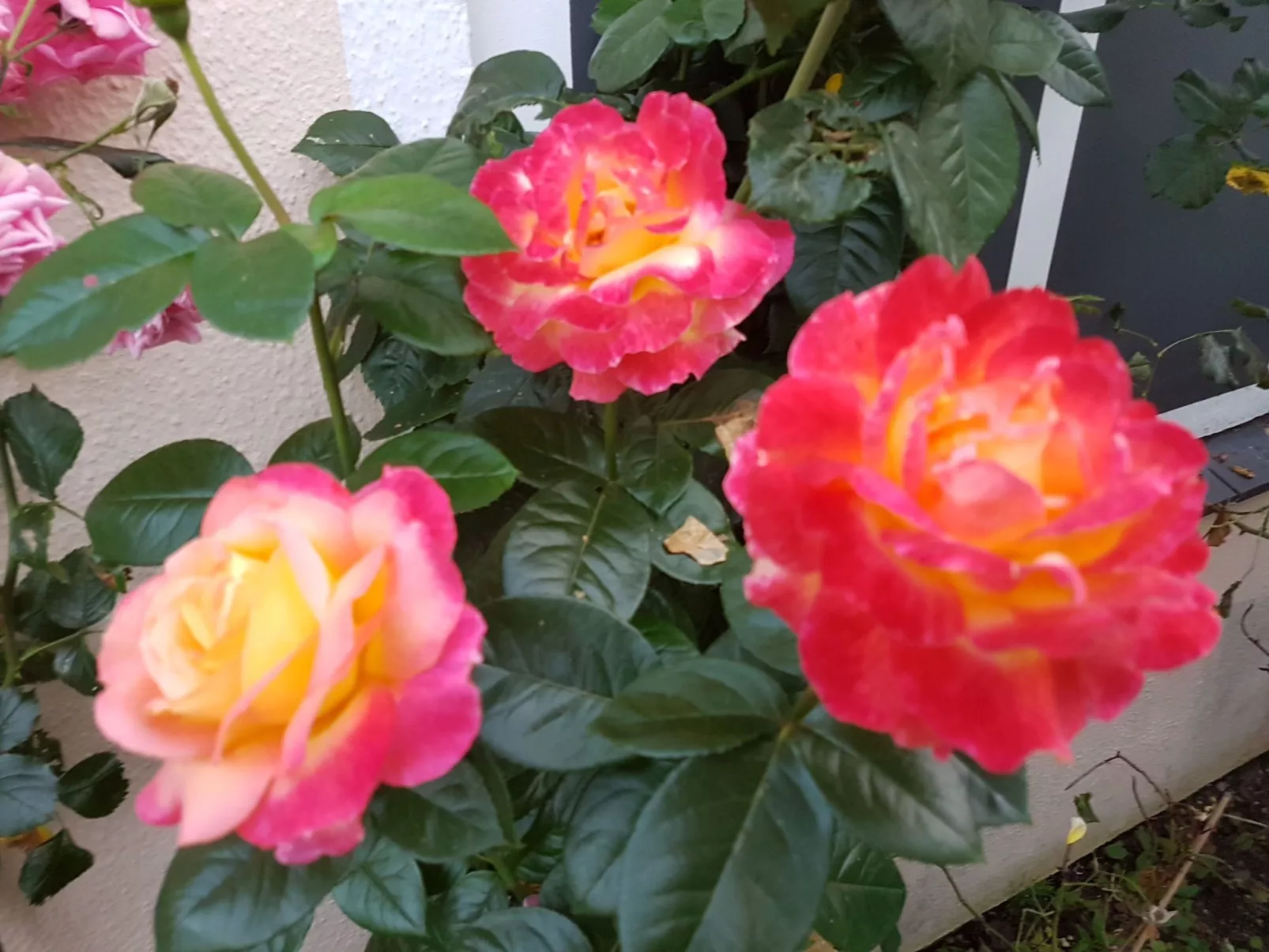 Es Trenc - Image-tags.info