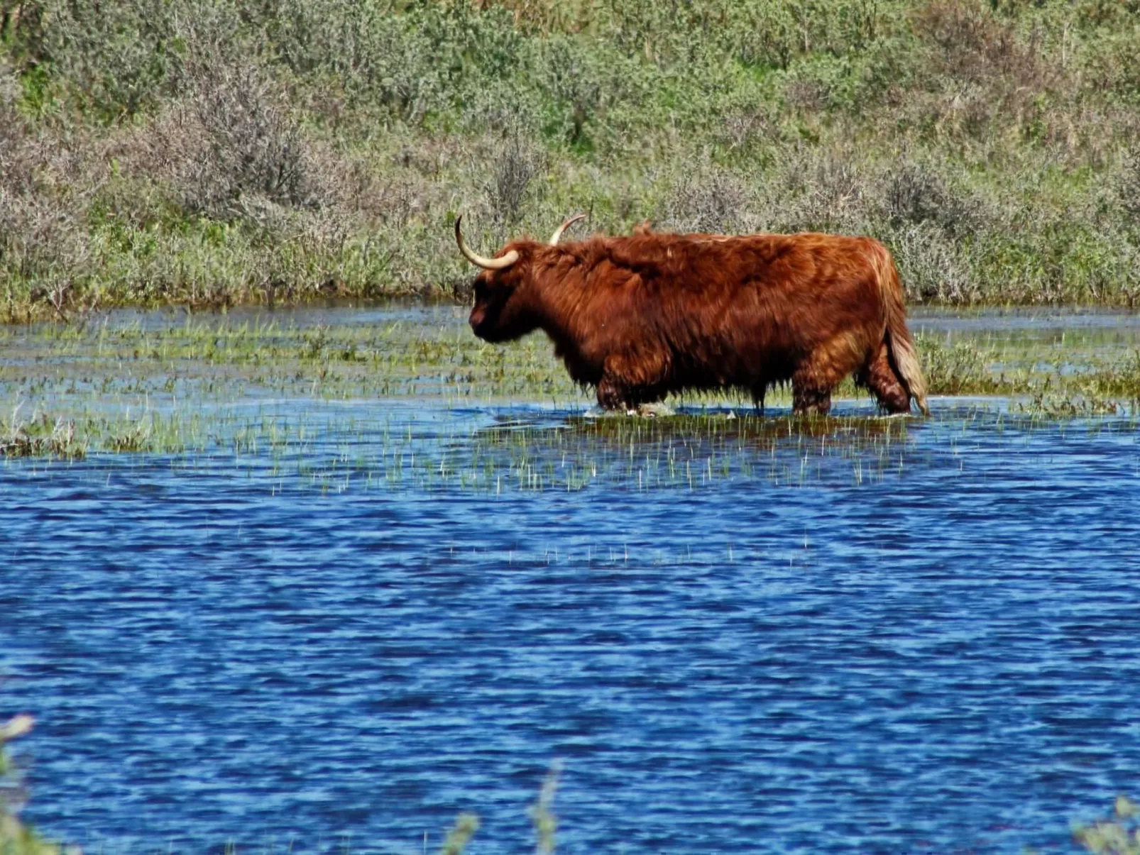 "Windhoos" mit privatem Garten und Terrasse-Buiten