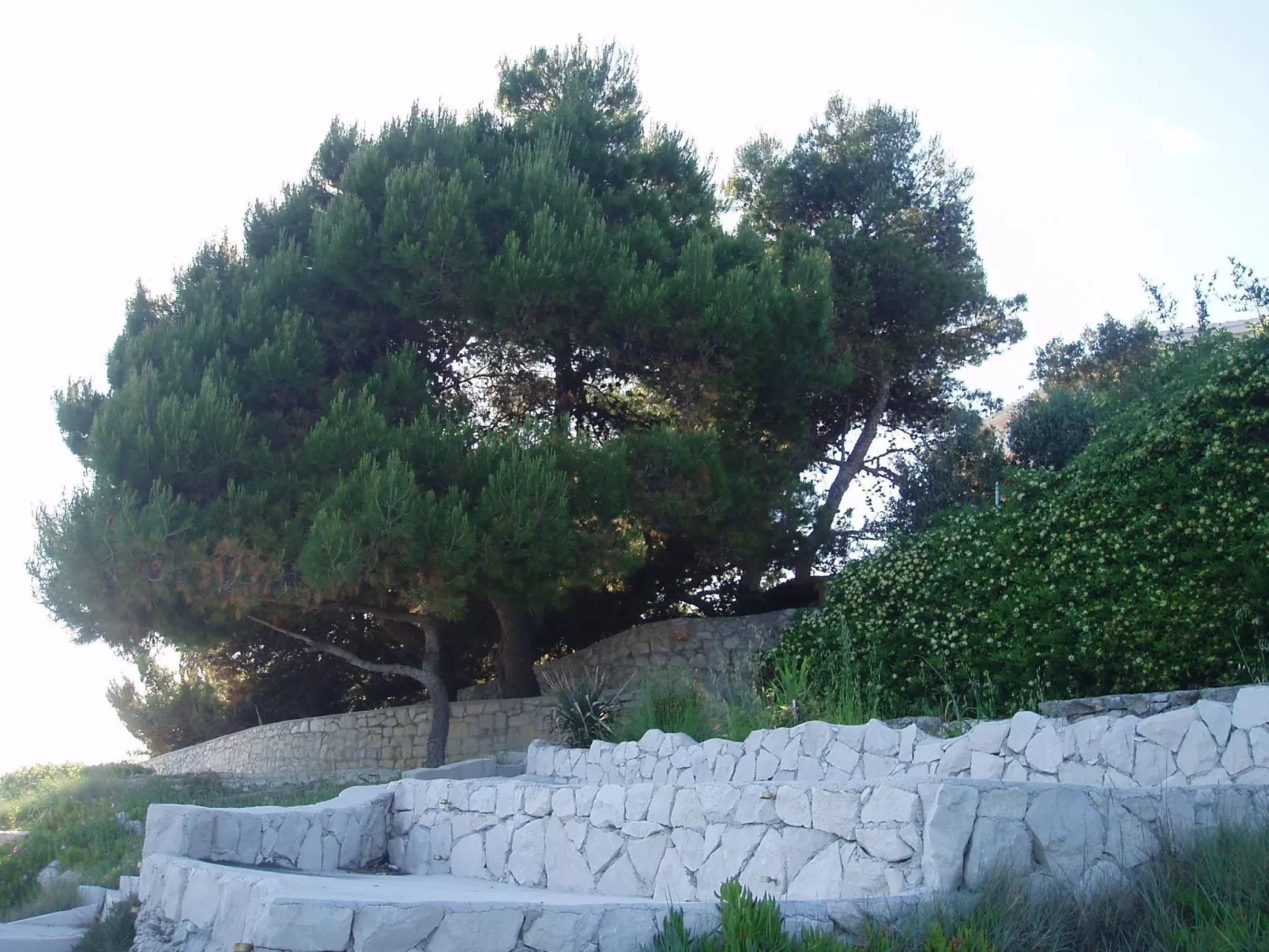 Mit Balkon und herrlichem Meerblick-Buiten