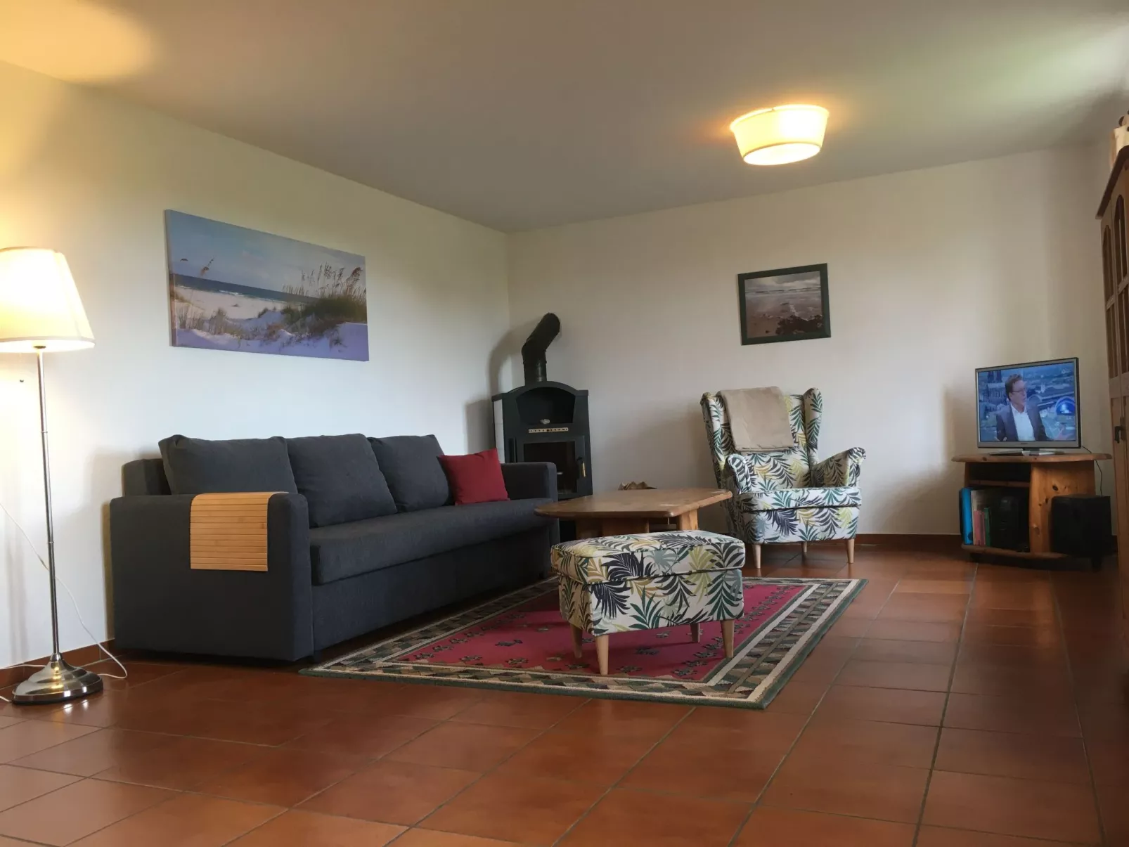 Gans in Ummanz-Lüßvitz-Binnen