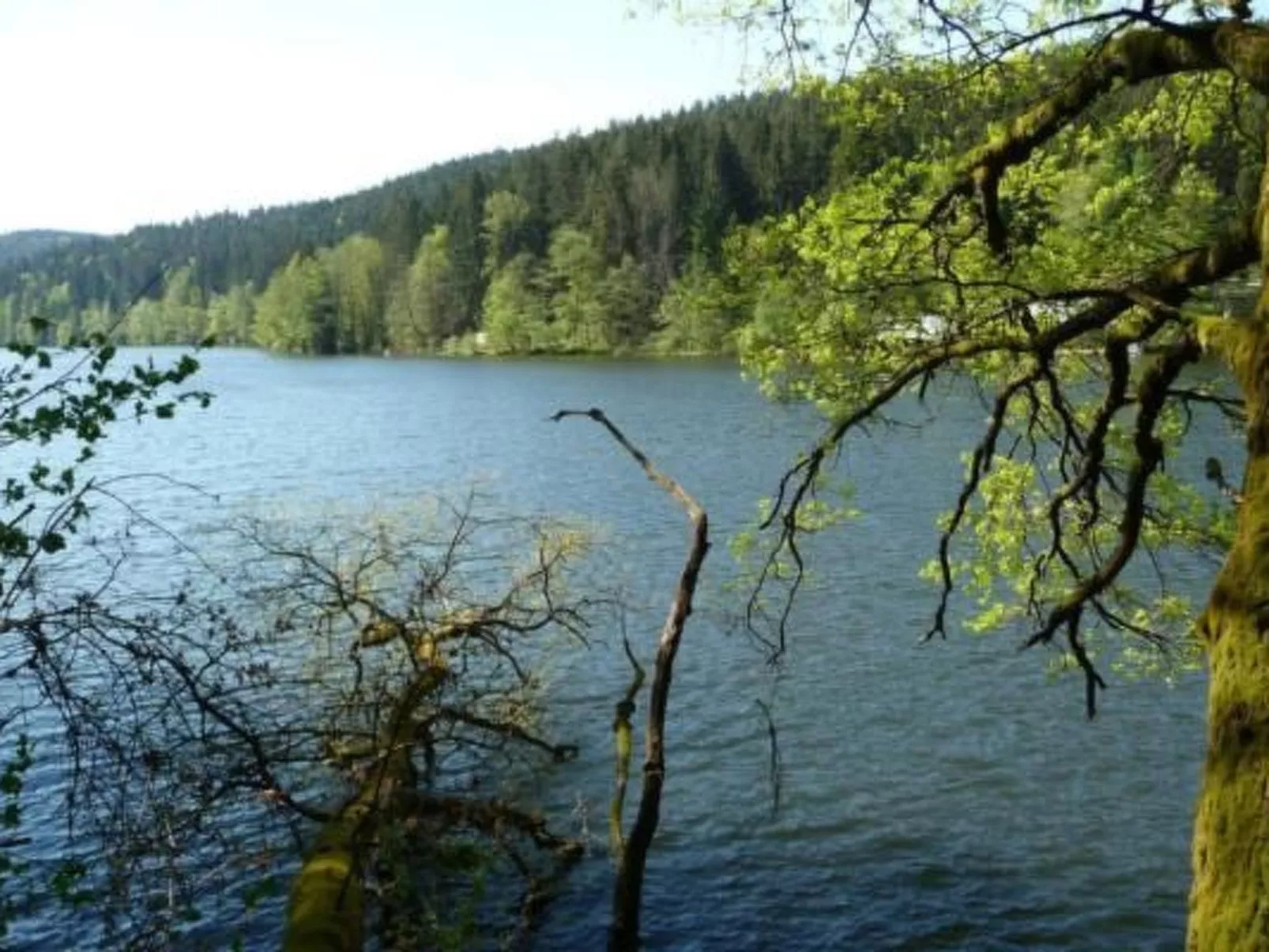 Haus " Fernblick "-Buiten