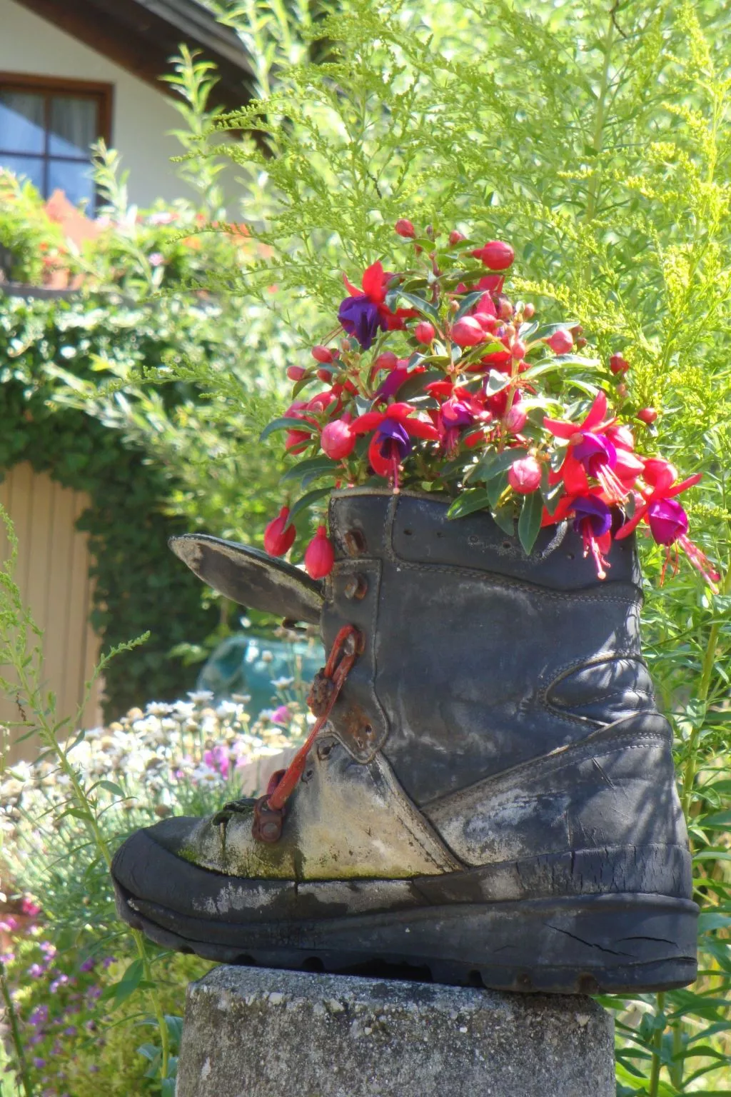 Sport Alpin Wh 130-Binnen